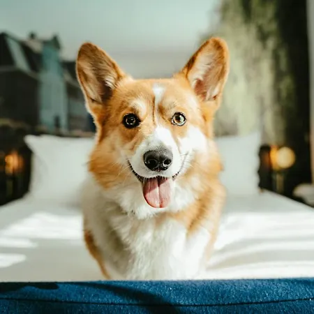 Hotel By Marriott Ghent