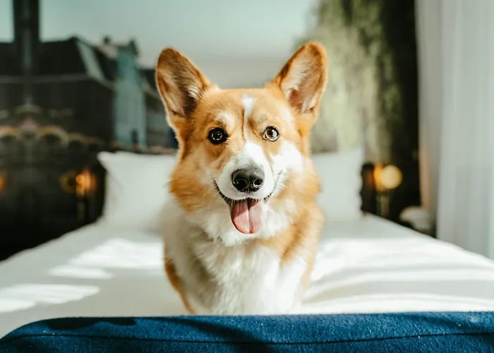 فندق By Marriott خنت